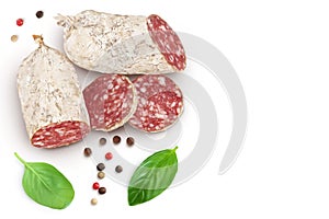 Cured salami sausage isolated on white background. Italian cuisine with full depth of field. Top view with copy space photo