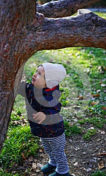 Curios toddler exploring