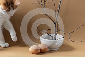 Curiosity red and white cat smelling and playing with two brown eggs on beige background. Eco decor for Easter holiday.