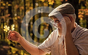 Curiosity to botany. Explore world around. Pensioner hiking in forest on sunny autumn day. Old man collect leaves