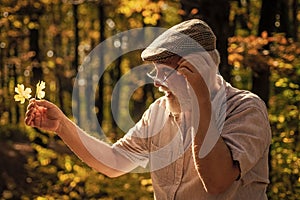 Curiosity to botany. Explore world around. Pensioner hiking in forest on sunny autumn day. Old man collect leaves