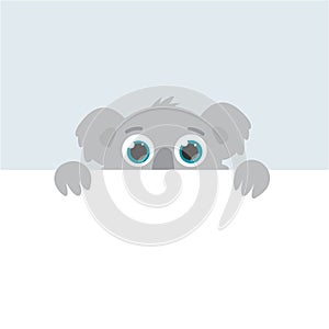 Curious australian koala peeps out. flat vector cartoon illustration