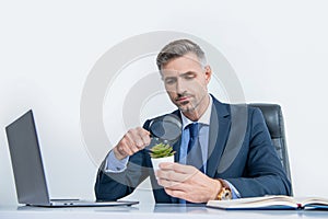 curious businessman look at plant through magnifying glass in business office