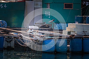 Curious Cat is walking across the fishing platform on water, old fishing village