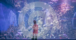 Curious child contemplation underwater landscape in marine aquarium in deep blue purple pink color concept children curiosity and