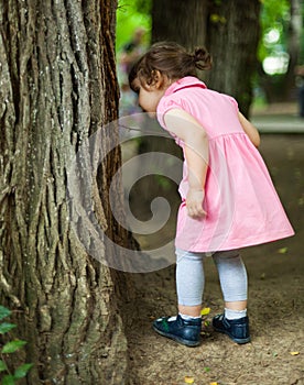 Curious child looking for bugs