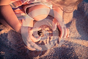 Curious child toddler playing on beach with hermit crab during summer vacation concept childhood curiosity lifestyle