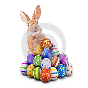 Curious, cute and funny Easter Bunny or Easter Rabbit peeking behind a pile of painted decorated or ornate Easter Eggs for Easter