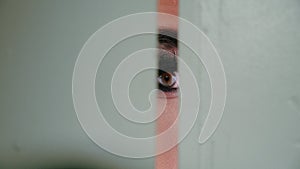 Curious eyes woman looking slit door closeup. Nosy people peeping secrets room.