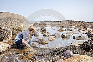 Boy exploring tide pools on New Hampshire coast