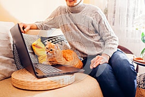 Curious ginger cat looking at screen of laptop watching video with man at home. Pet sitting on keyboard of computer