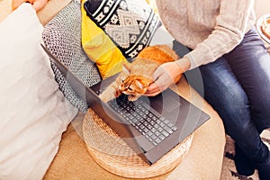 Curious ginger cat looking at screen of laptop watching video with man at home. Pet sitting on keyboard of computer