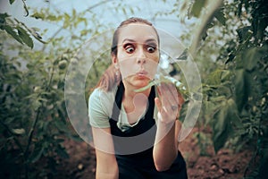 Curious Greenhouse Owner Checking the Leaves of a Plant