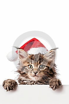 Curious kitten in holiday hat peeking from behind empty banner for a cute christmas surprise