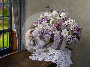 Curious kitty and bouquet of lilac and flowers