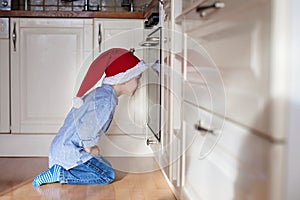 Curious little boy, watching ginger bread cookies in the oven