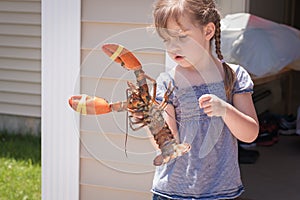 Curious little girl holding live lobster