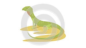 Curious lizard icon animation