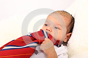 Curious newborn baby boy in tie