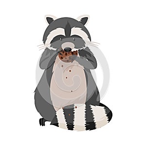 Curious Raccoon Animal with Dexterous Front Paws Eating Chocolate Cookie Vector Illustration