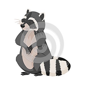 Curious Raccoon Animal with Dexterous Front Paws Sitting on Hind Legs Vector Illustration