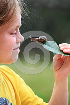 Curious snail