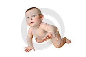Curious toddler baby crawling, isolated on a white background. Funny c