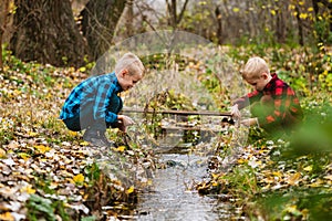 Curious twin brothers sit near water stream