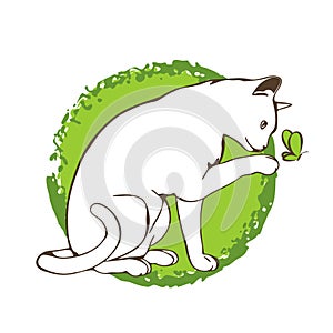 Curious white cat on green background. Cute playing cat.