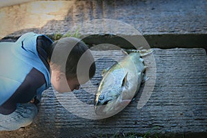 Curious young boy inspecting  a freshly caught salmon.