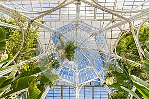 CURITIBA, PARANA/BRAZIL - DECEMBER 26 2016: Botanical Garden in a sunny day