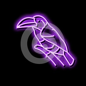 curl crested aracari bird exotic color icon vector illustration