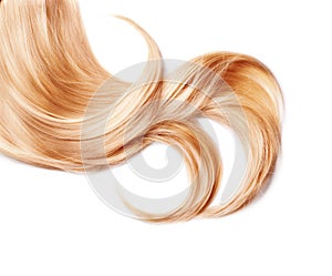 Curl of healthy blond hair