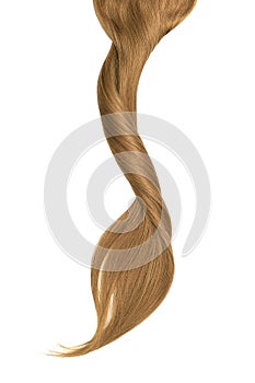 Curl of natural brown hair on white background