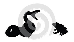 Curl open jaws snake attack frog prey vector silhouette illustration isolated on white background.