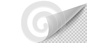 Curled corner paper page. Curl flip peel sheet of paper