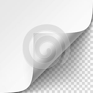 Curled corner of White paper with shadow Mock up Close up on Transparent Background