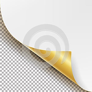 Curled Golden Metalic Corner Vector. White Paper with Shadow Mock up Close up Isolated on Transparent Background