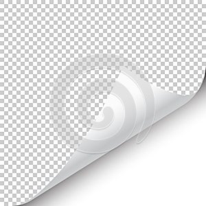 Curled page corner with shadow on transparent background. Blank sheet of paper. Vector illustration.