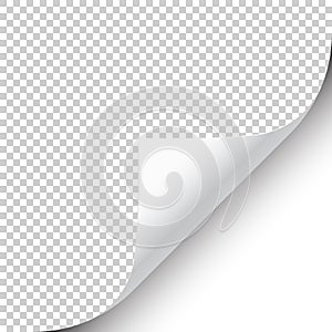 Curled page corner with shadow on transparent background. Blank sheet of paper. Vector illustration.