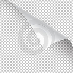 Curled page corner with shadow on transparent background. Blank sheet of paper. Vector illustration.