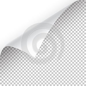 Curled page corner with shadow on transparent background. Blank sheet of paper. Vector illustration.