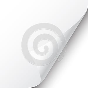 Curled page corner with shadow on white background. Blank sheet of paper. Vector illustration.