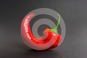 Curled red chili pepper isolated on black