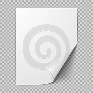 Curled sheet of paper. Empty blank of paper with twisted corner. Vector illustration isolated on transparent background