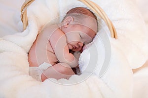 Curled up infant in basket