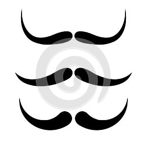 Curled up thin moustaches vector icon