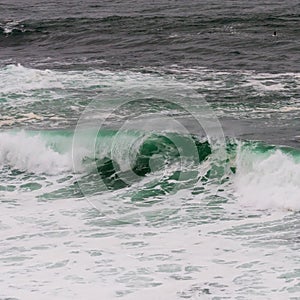 Curling Teal Wave and White Wash