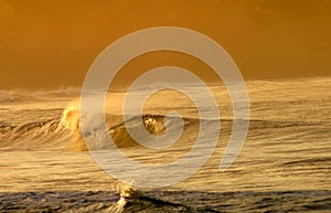 Curling Wave in Costa Rica