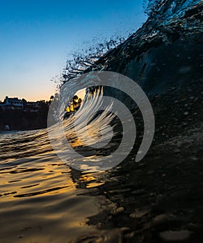 A curling wave with Palm Trees in Laguna Beach, California